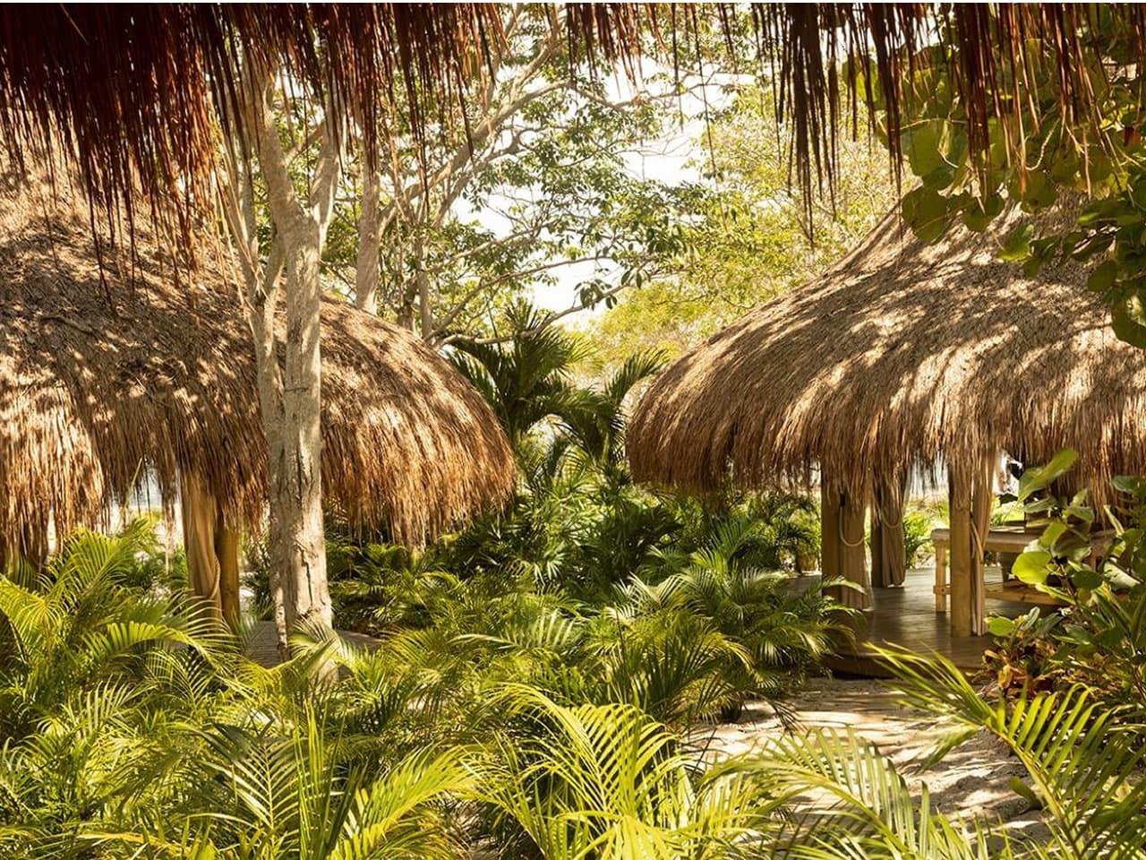 Pasadía Makani - Vista 6