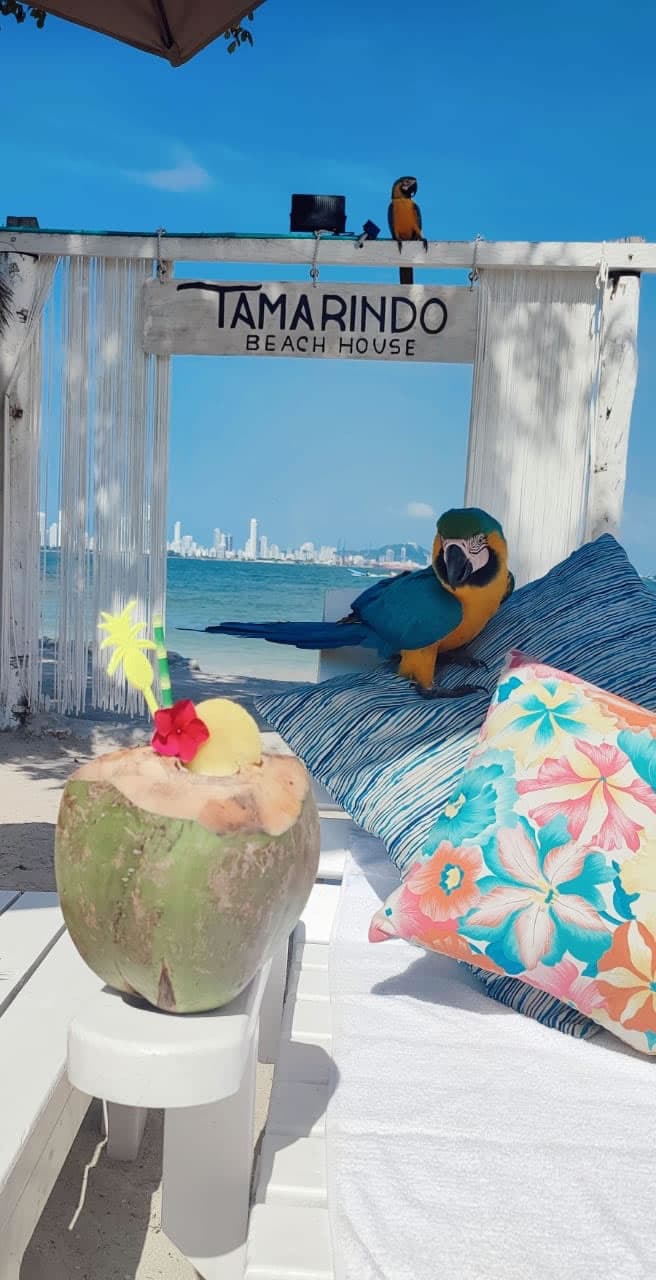 Tamarindo Beach Club