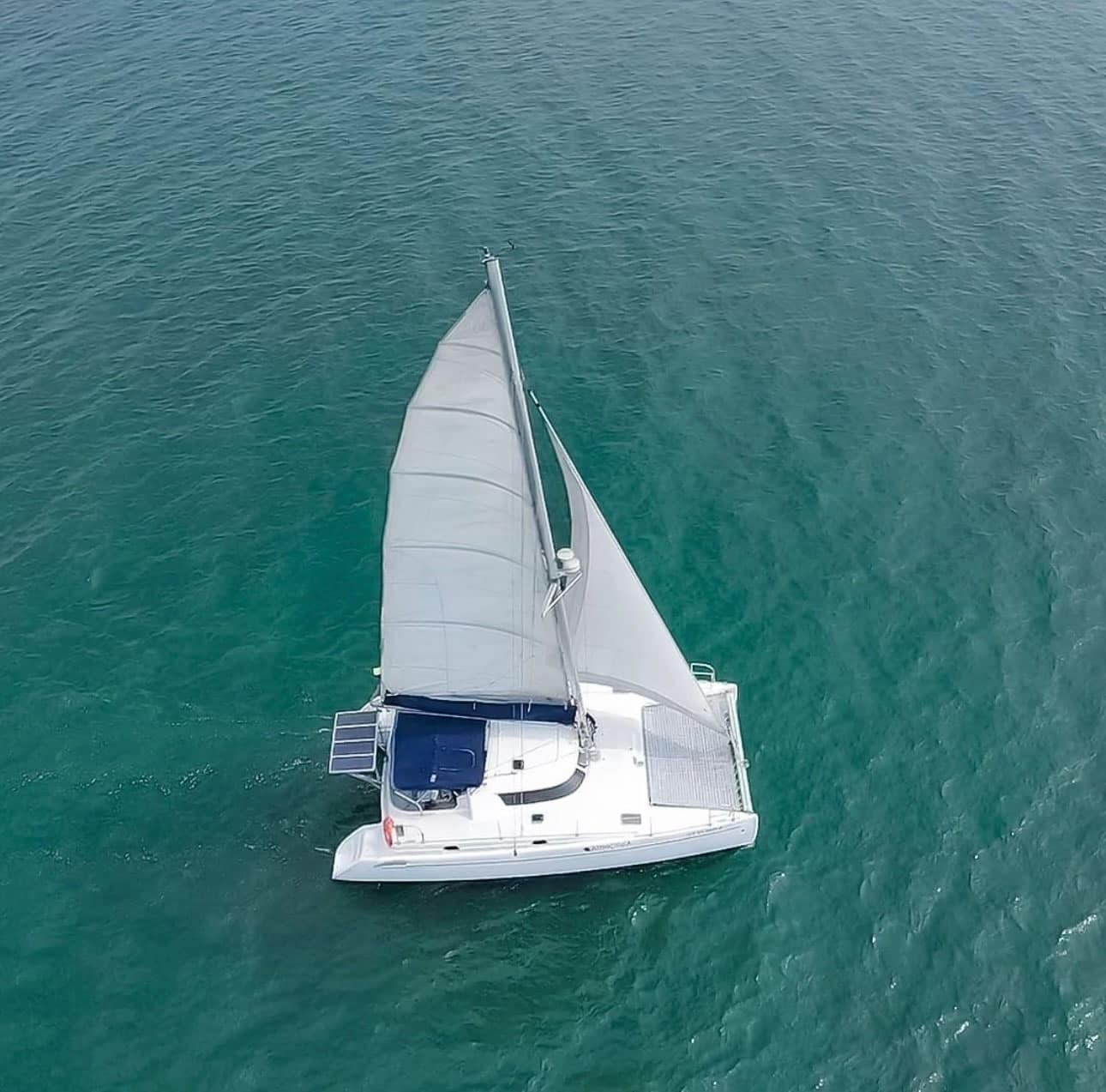 Catamarán Armonía - Vista 2