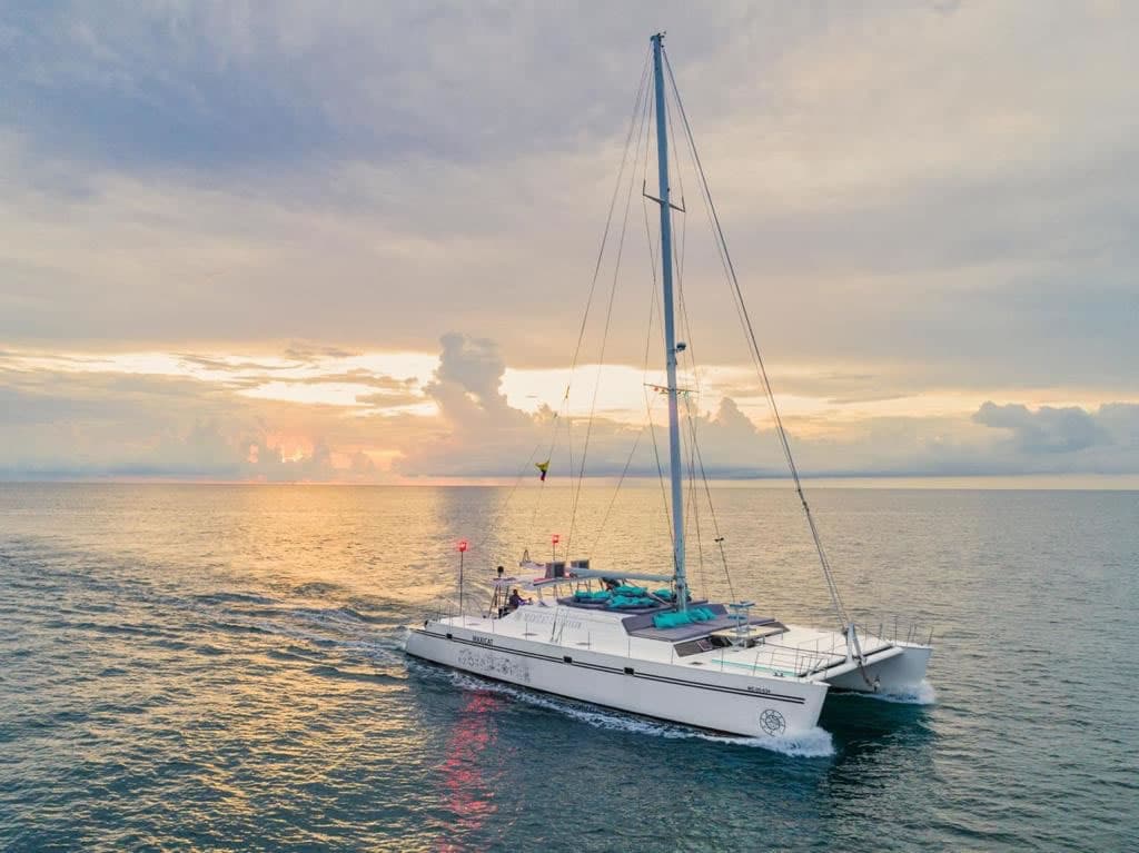 Catamarán Maxicat 65