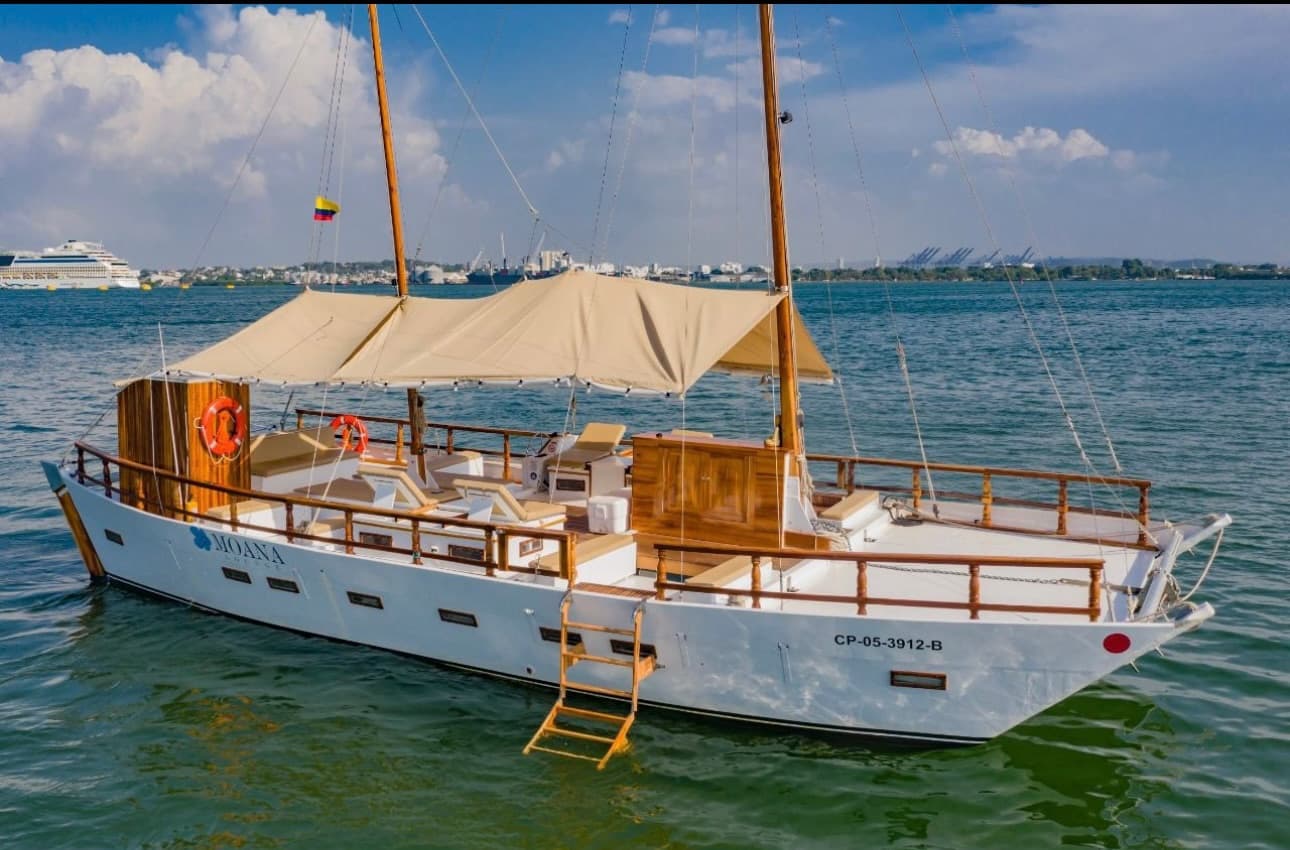 Catamarán Moana Lounge - Vista 4