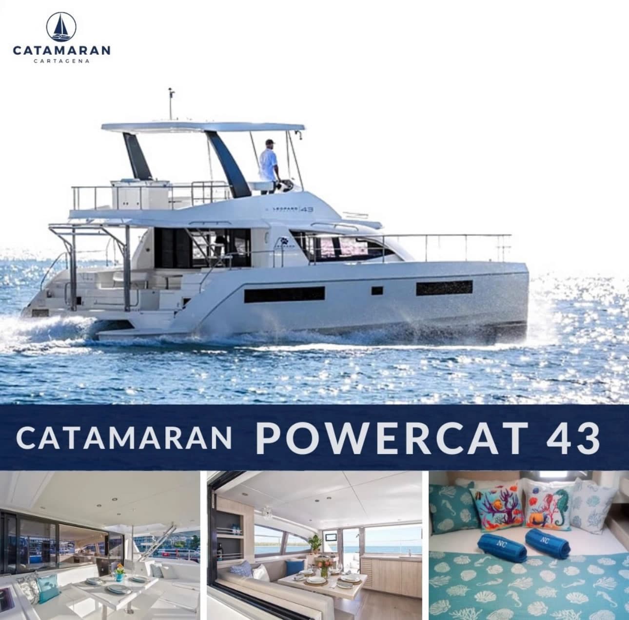 Catamarán Powercat 43 - Vista 1