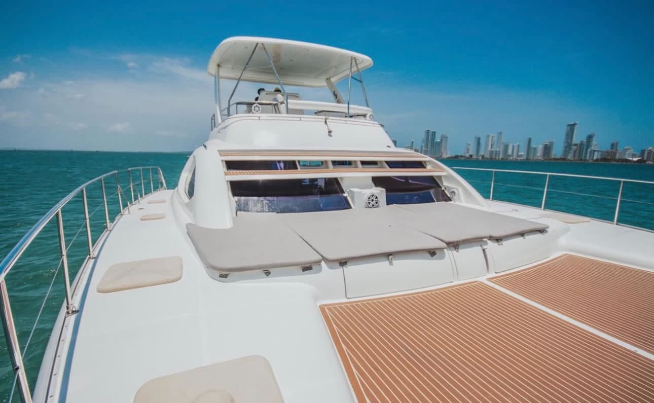 Catamarán Powercat 47 - Vista 3