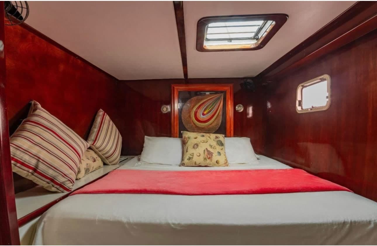 Catamarán Supercat 65 - Vista 6